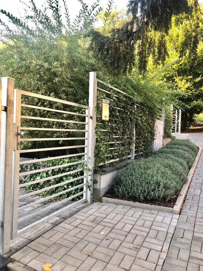 Apartmany Benesov Benesov nad Ploucnici Экстерьер фото